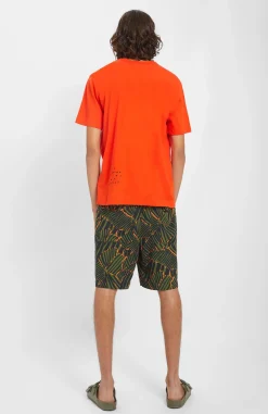 Loreak Mendian CAMISETA ARIMA M-Hombre Camisetas